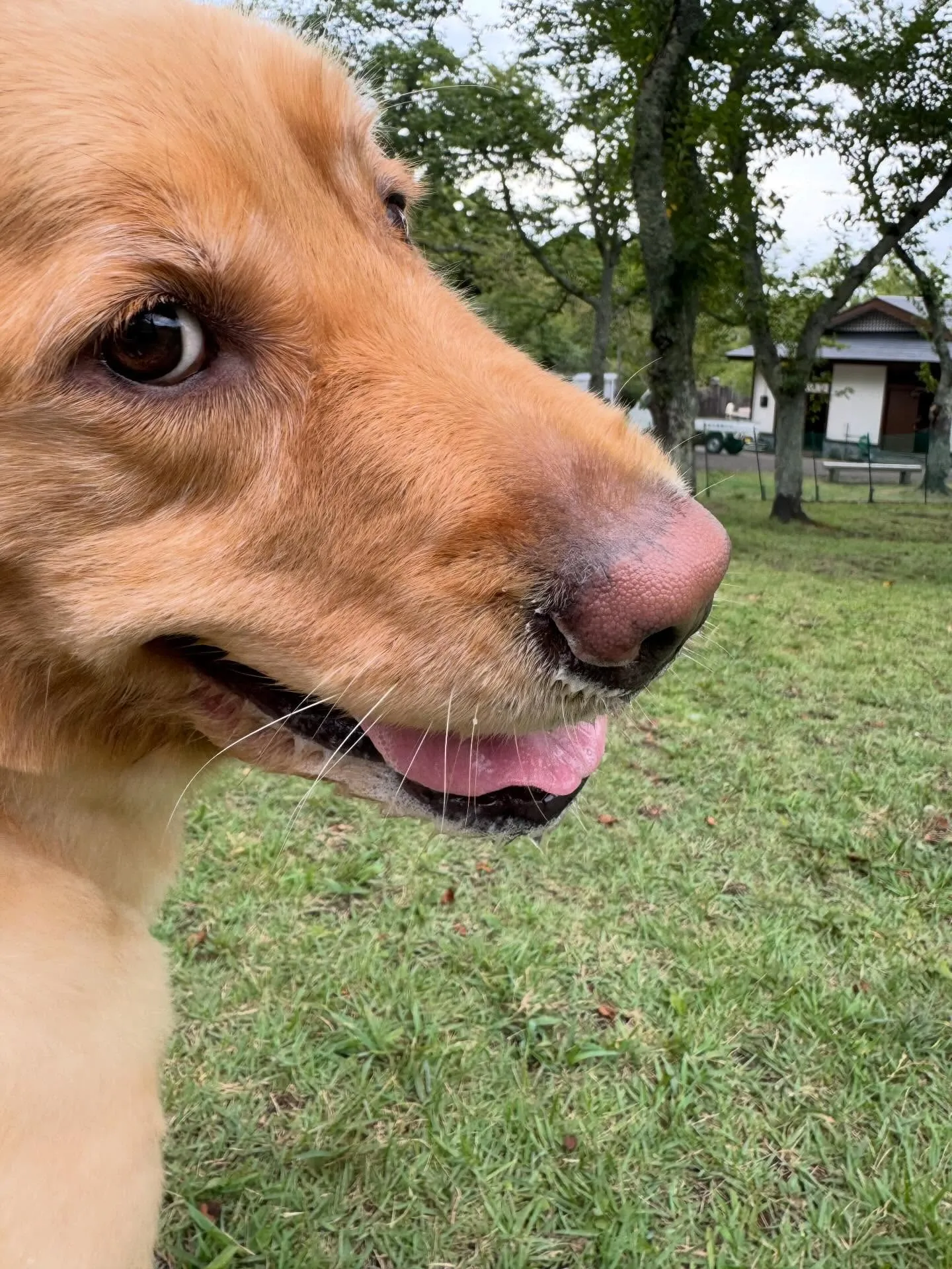 今日は千葉県旭市で塗装工事の下準備として高圧洗浄をしてきます...