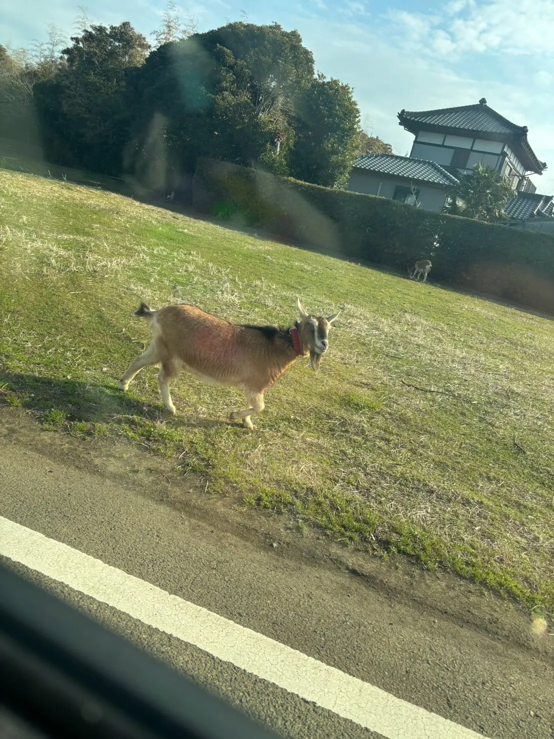 こんにちは、皆さん！🎨㈱ペイントホームズ日熊です。