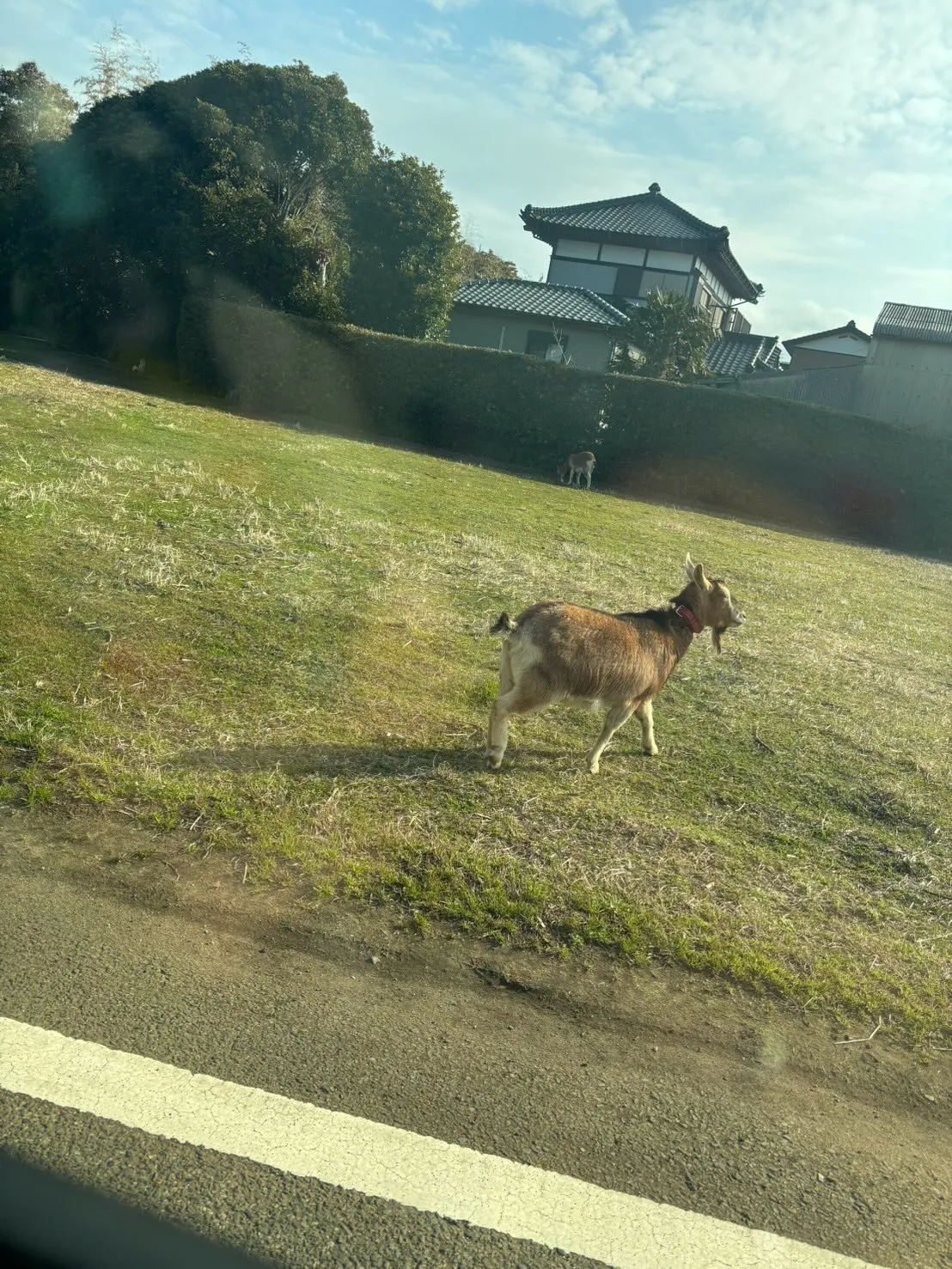 こんにちは、皆さん！🎨㈱ペイントホームズ日熊です。
